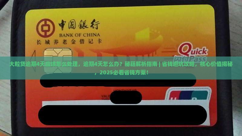大粒贷逾期4天应该怎么处理