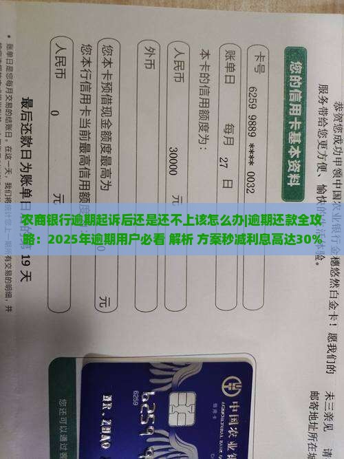 农商银行逾期起诉后还是还不上该怎么办