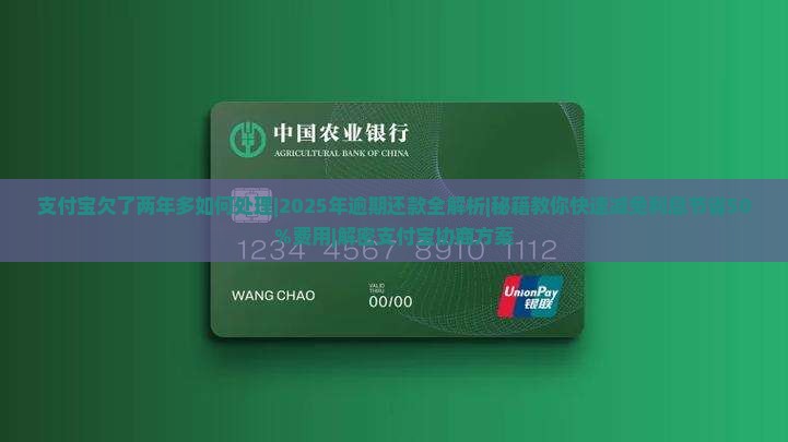 支付宝欠了两年多如何处理