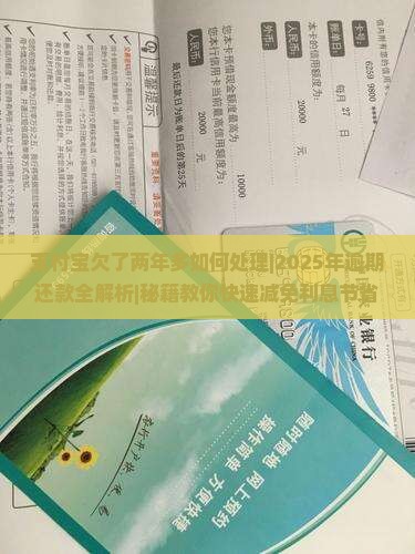 支付宝欠了两年多如何处理
