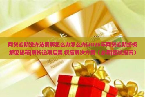 网贷逾期没办法调解怎么办怎么办