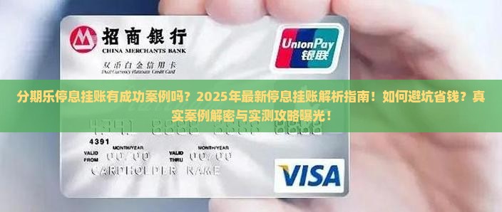 分期乐停息挂账有成功案例吗