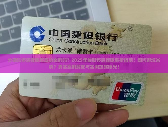 分期乐停息挂账有成功案例吗