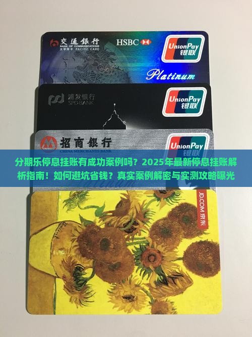 分期乐停息挂账有成功案例吗
