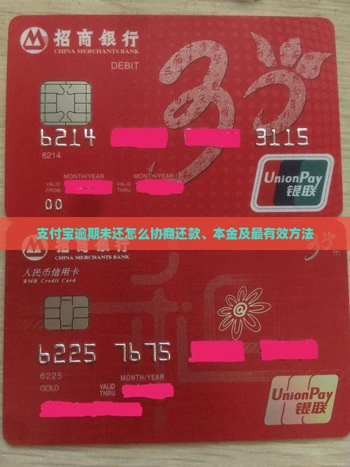 支付宝逾期未还怎么协商