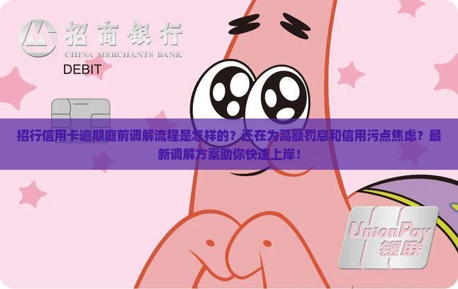 招行信用卡逾期庭前调解流程
