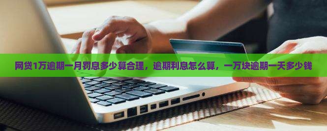 网贷1万逾期一月罚息多少算合理