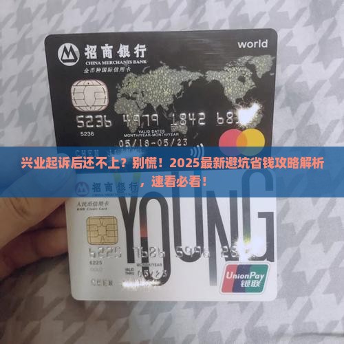 兴业起诉后还不上应该怎么处理