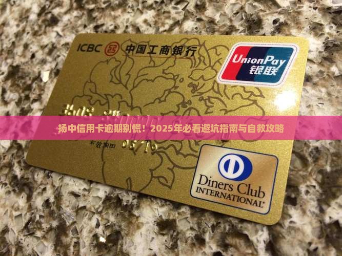 扬中信用卡逾期