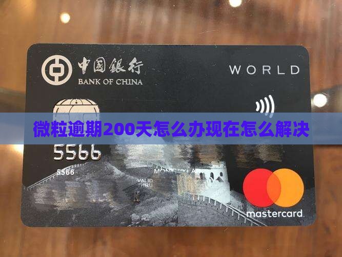 微粒逾期200天怎么办现在怎么解决