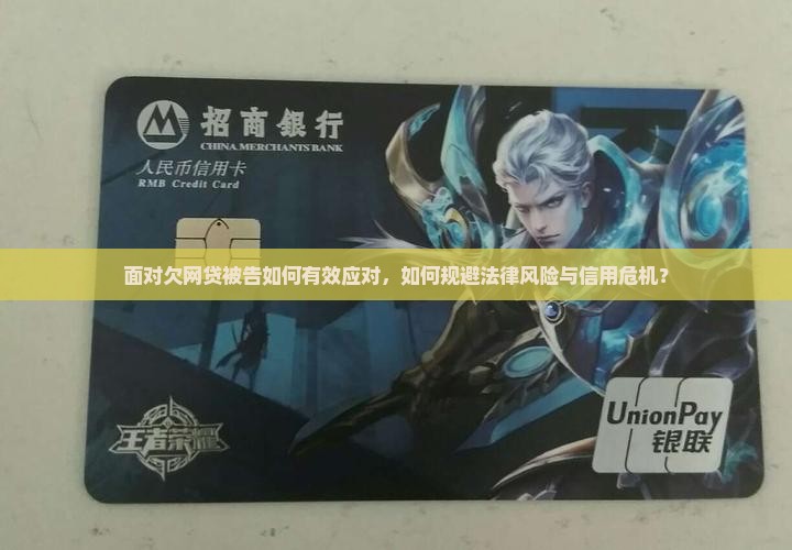 面对欠网贷被告如何有效应对，如何规避法律风险与信用危机？