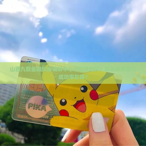 山西九鼎金融纠纷调解中心可信度如何？其调解效果与成功率怎样？