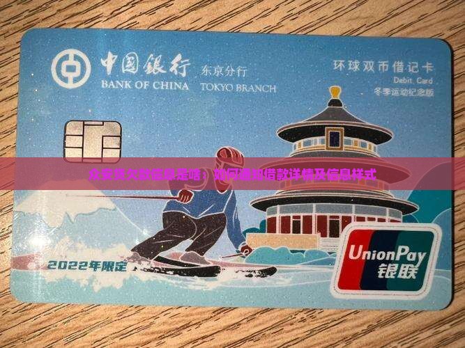 众安贷欠款信息是啥：如何通知借款详情及信息样式
