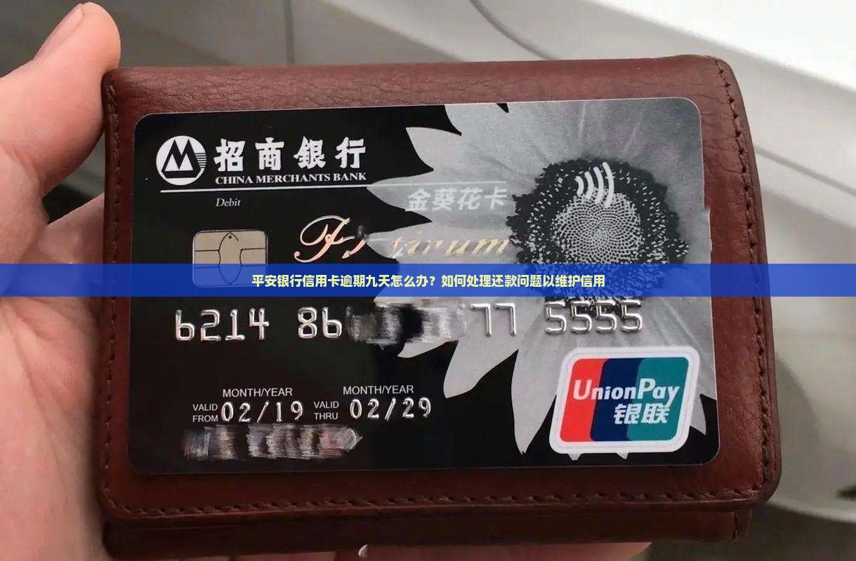 平安银行信用卡逾期九天怎么办？如何处理还款问题以维护信用