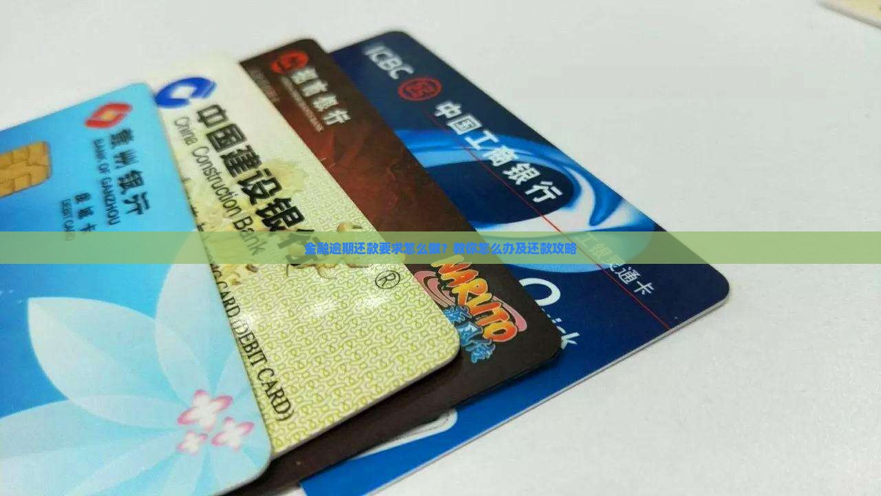 金融逾期还款要求怎么做？教你怎么办及还款攻略