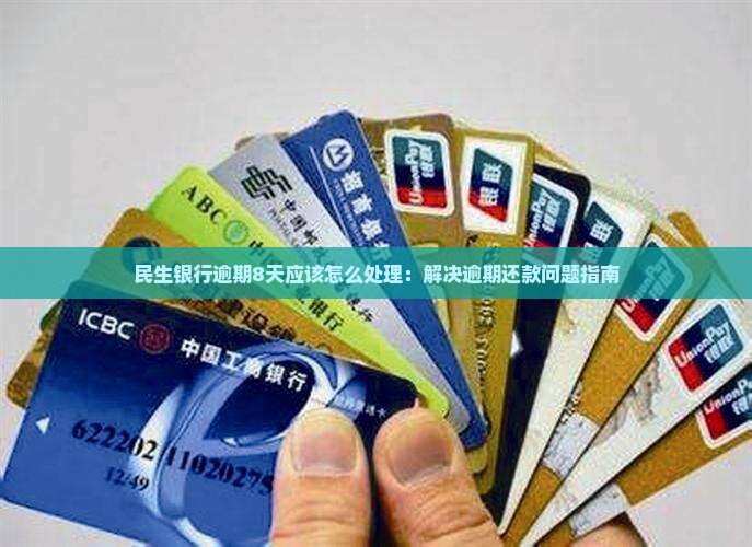 民生银行逾期8天应该怎么处理：解决逾期还款问题指南
