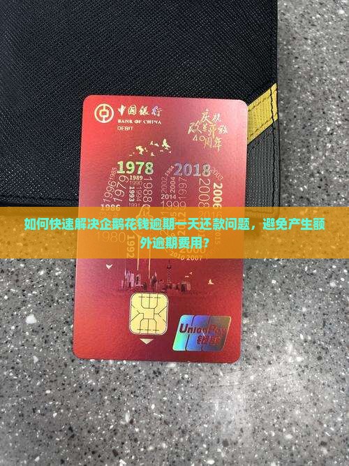 如何快速解决企鹅花钱逾期一天还款问题，避免产生额外逾期费用？