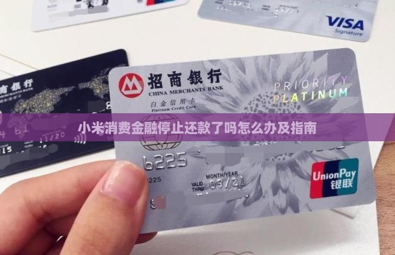小米消费金融停止还款了吗怎么办及指南