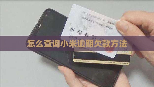 怎么查询小米逾期欠款方法