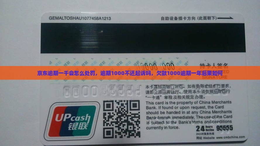 京东逾期一千会怎么处罚，逾期1000不还起诉吗，欠款1000逾期一年后果如何
