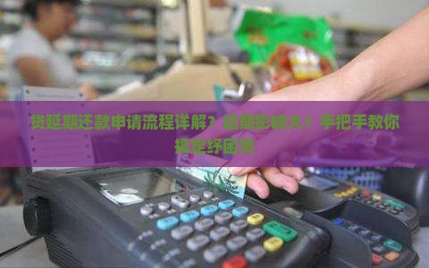 贷延期还款申请流程详解？逾期影响大？手把手教你搞定纾困贷
