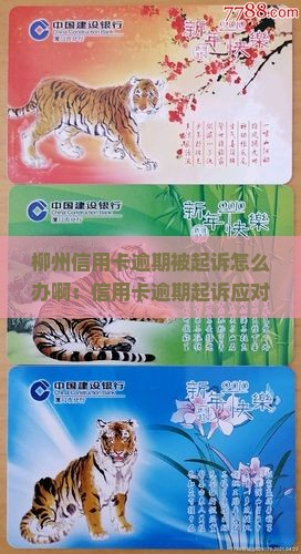 柳州信用卡逾期被起诉怎么办啊：信用卡逾期起诉应对策略与解决方案