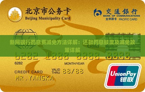 新网银行罚息费减免方法详解：还款罚息额度及减免政策详解