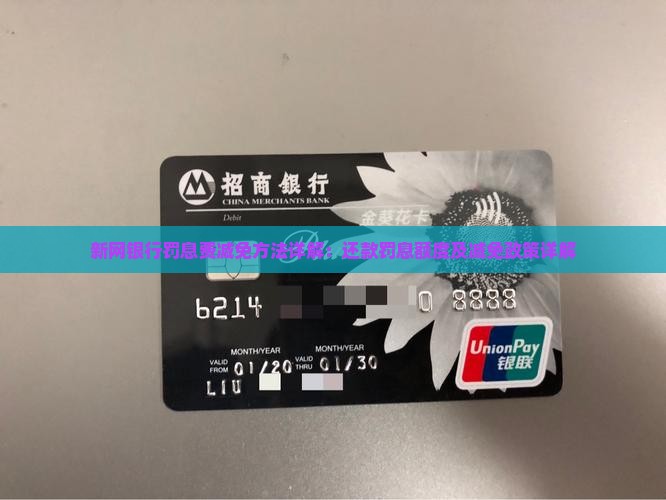 新网银行罚息费减免方法详解：还款罚息额度及减免政策详解
