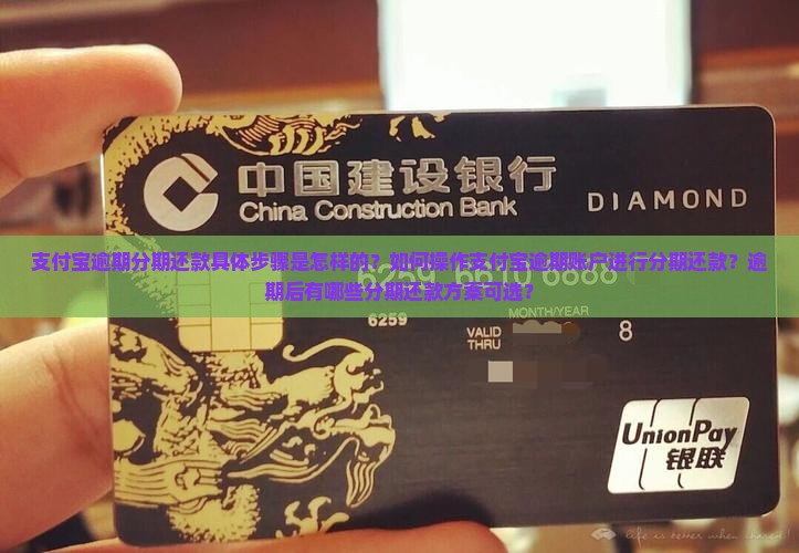 支付宝逾期分期还款具体步骤是怎样的？如何操作支付宝逾期账户进行分期还款？逾期后有哪些分期还款方案可选？