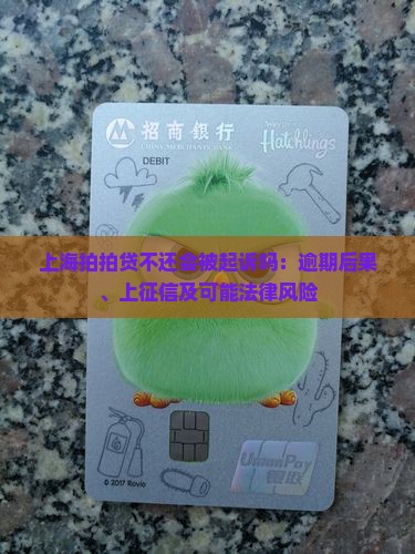 上海拍拍贷不还会被起诉吗：逾期后果、上征信及可能法律风险