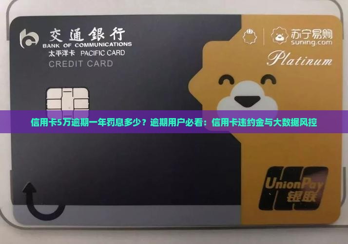 信用卡5万逾期一年罚息多少？逾期用户必看：信用卡违约金与大数据风控