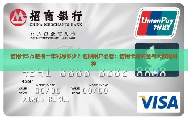 信用卡5万逾期一年罚息多少？逾期用户必看：信用卡违约金与大数据风控