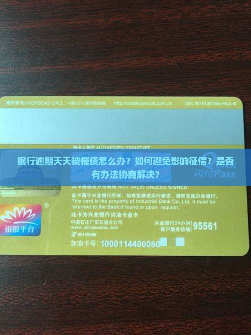 银行逾期天天被催债怎么办？如何避免影响征信？是否有办法协商解决？