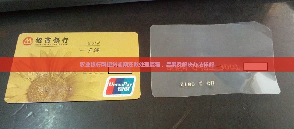 农业银行网捷贷逾期还款处理流程、后果及解决办法详解