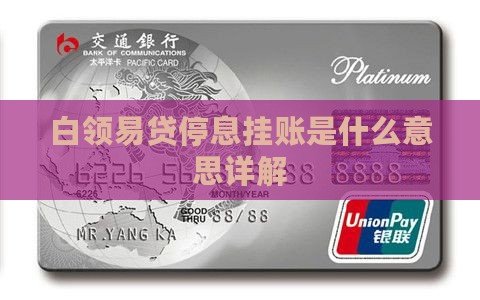 白领易贷停息挂账是什么意思详解