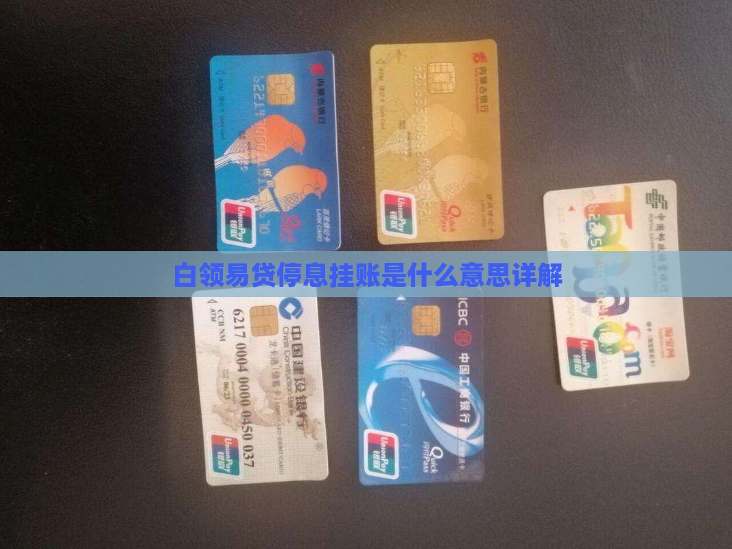白领易贷停息挂账是什么意思详解