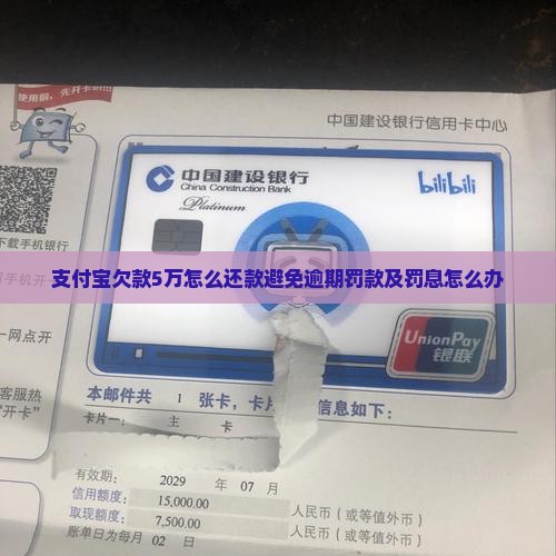 支付宝欠款5万怎么还款避免逾期罚款及罚息怎么办
