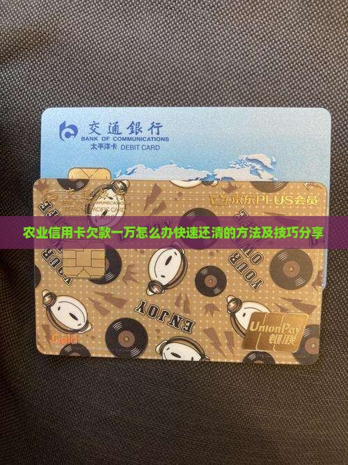 农业信用卡欠款一万怎么办快速还清的方法及技巧分享