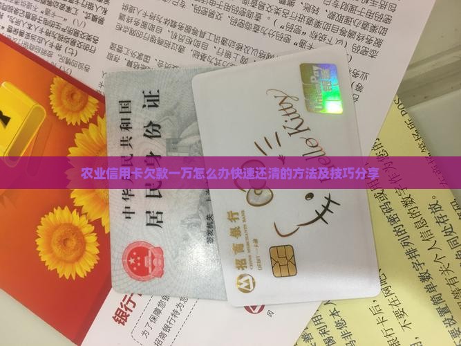 农业信用卡欠款一万怎么办快速还清的方法及技巧分享