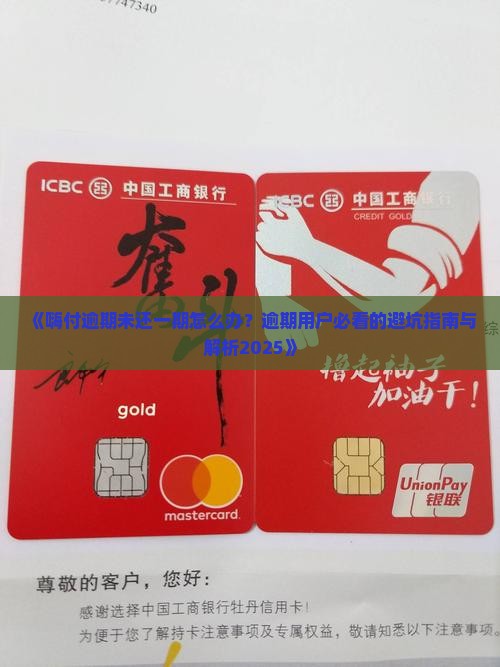 嗨付逾期未还一期怎么办