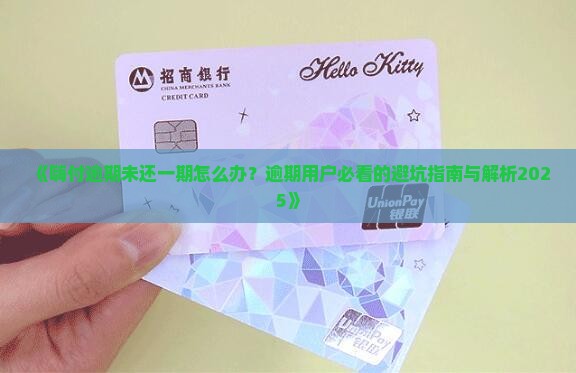 嗨付逾期未还一期怎么办