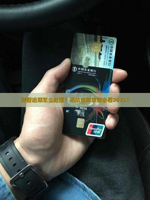 财智金逾期还不上怎么办