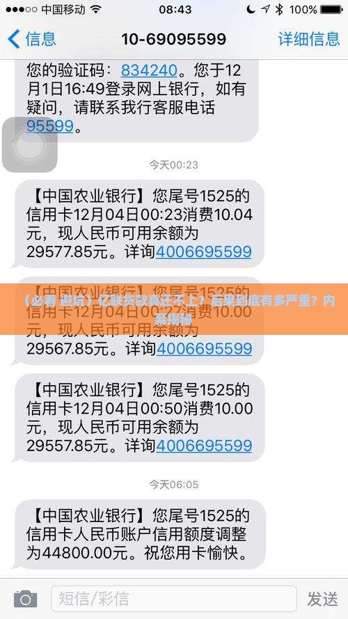 亿联贷款不还后果严重吗