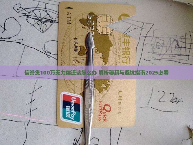 信誉贷100万无力偿还该怎么办