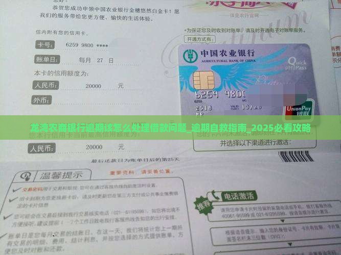龙湾农商银行逾期该怎么处理借款问题