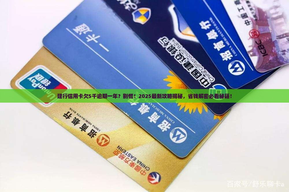 建行信用卡欠5千逾期一年需要做什么