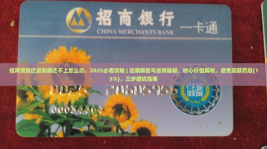 信用贷款还款到期还不上怎么办