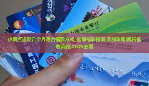 小雨点逾期几个月适合催款方式