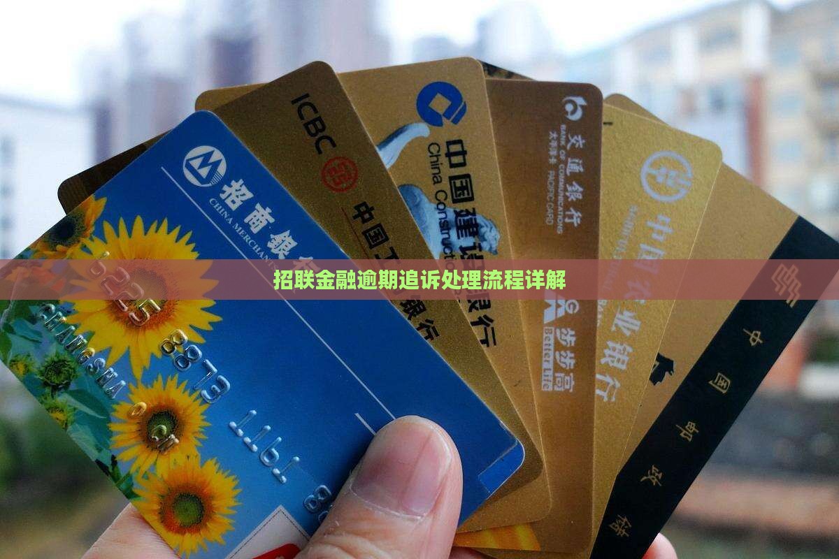 招联金融逾期追诉处理流程详解
