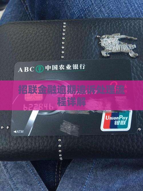 招联金融逾期追诉处理流程详解